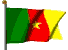 Cameroonian national flag