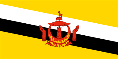 Bruneian national flag 