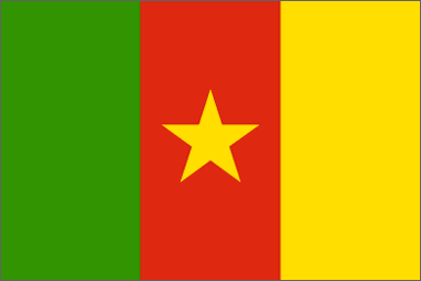 Cameroonian national flag
