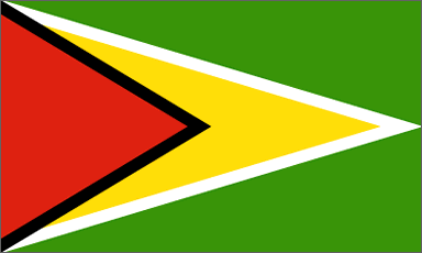 Guyanese national flag