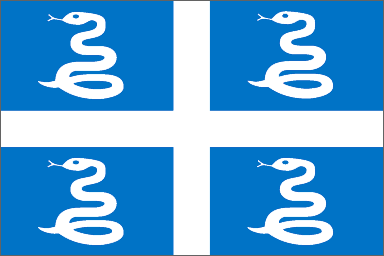 Martiniquais national flag 