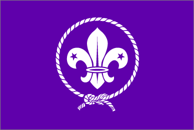 Scouts and Guides' flag