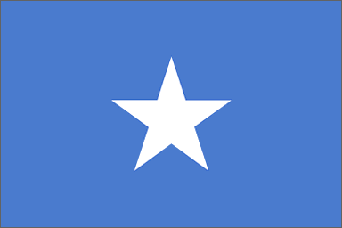 Somali national flag
