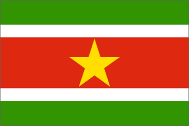 Surinamese national flag