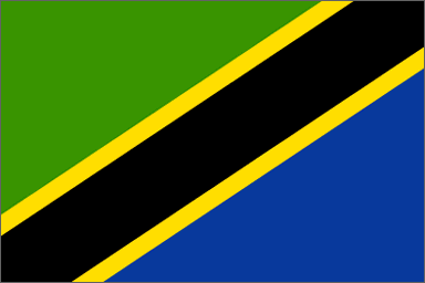 Tanzanian national flag 