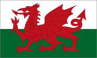 Welsh national flag