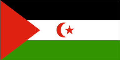 Western Sahara's national flag