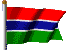 The Gambian national flag