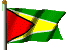 Guyanese national flag