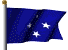 Micronesian national flag