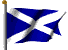 Scottish national flag