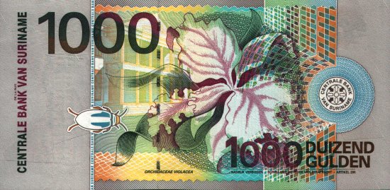 Suriname - 1,000 Gulden (2000) - Pick 61