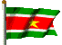 Surinamese national flag